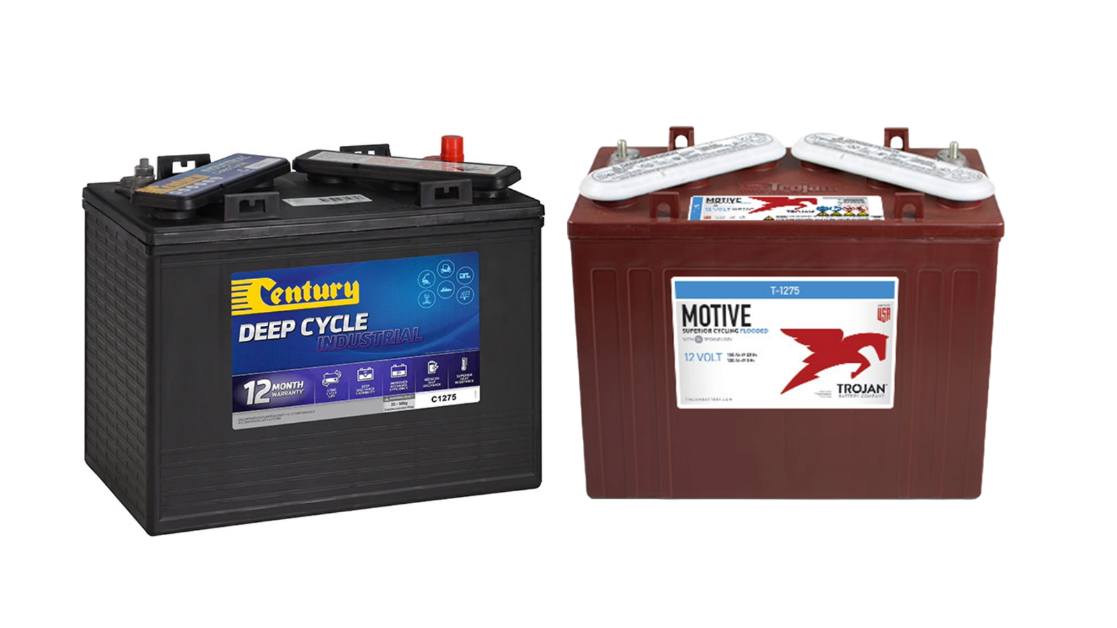 Golf Cart Deep-Cycle Battery